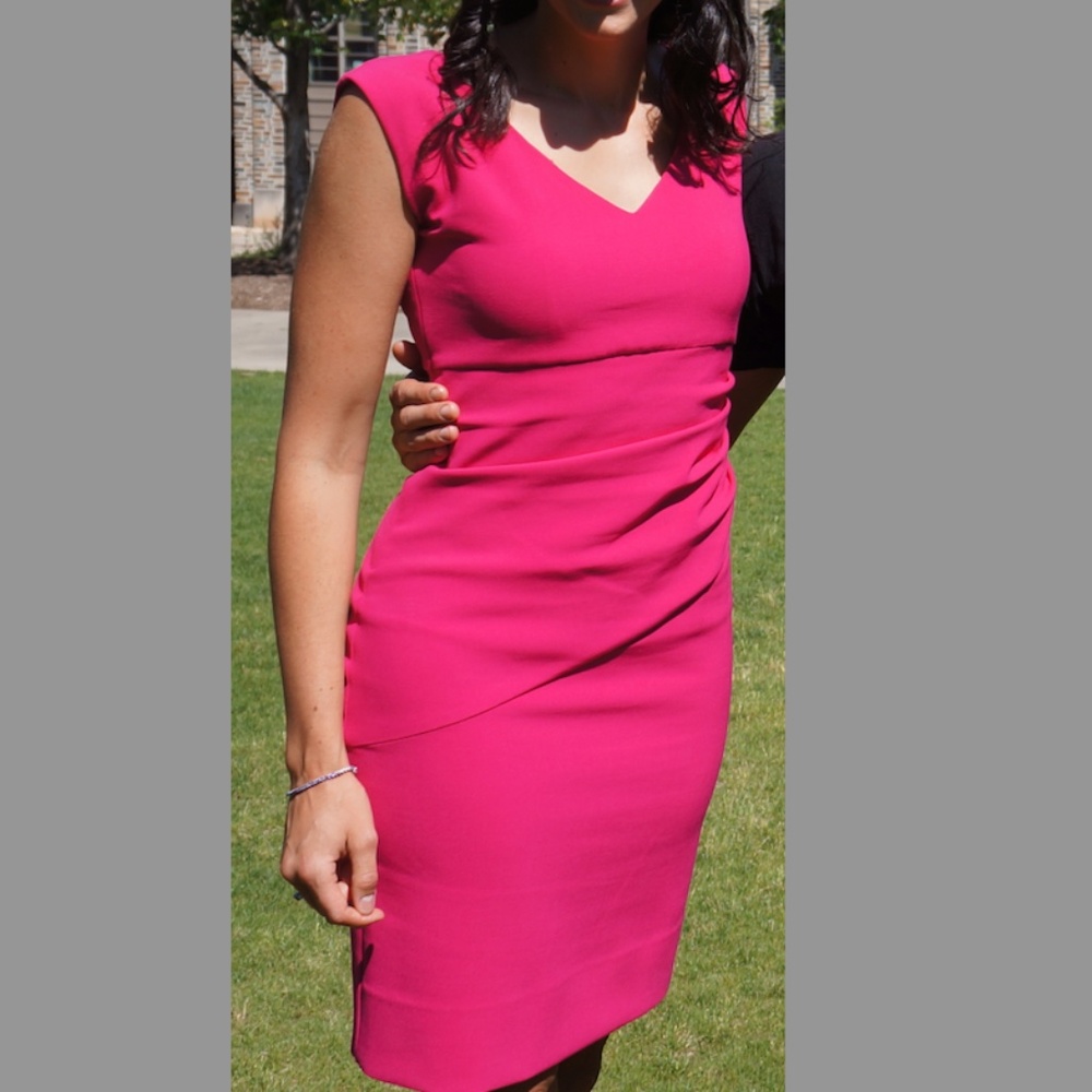 Diane Von Furstenberg Pink Sheath Dress